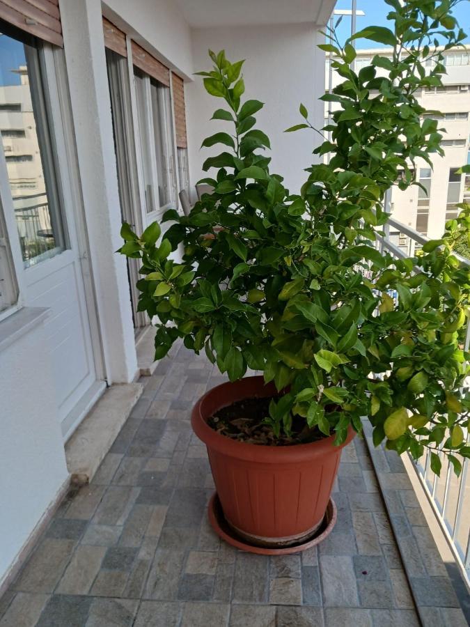 Room With Private Toilet And Balcony In City Center In Shared Apartment Split Dış mekan fotoğraf